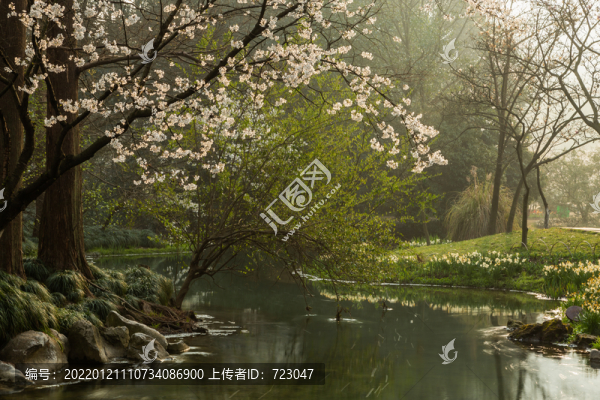 杭州太子灣公園春色