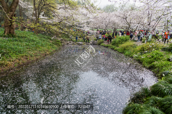 杭州太子灣公園春色