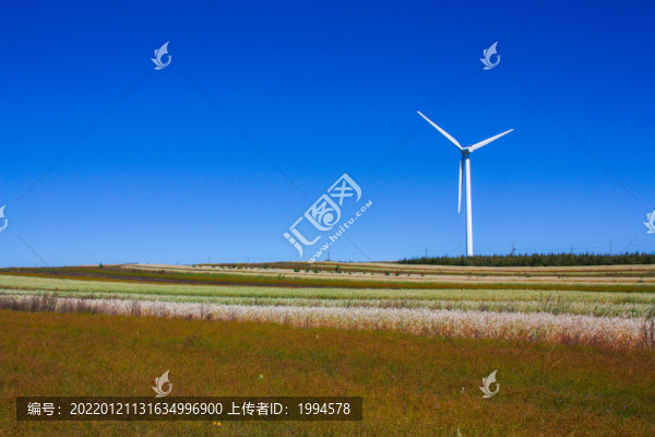 麥田