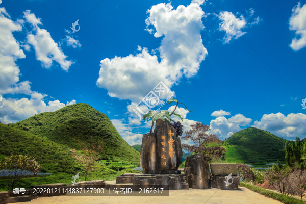 葡萄園基地