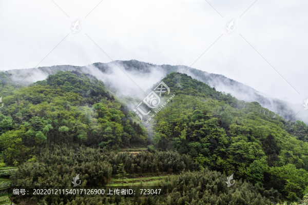 臨安太湖源鎮(zhèn)