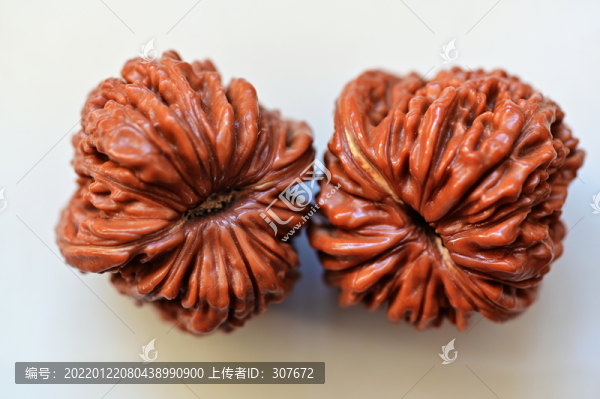 文玩核桃