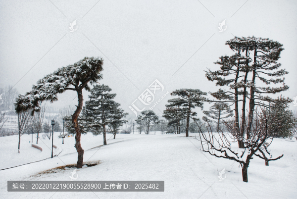 雪景
