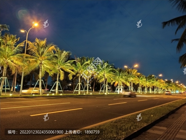 濱海大道夜景