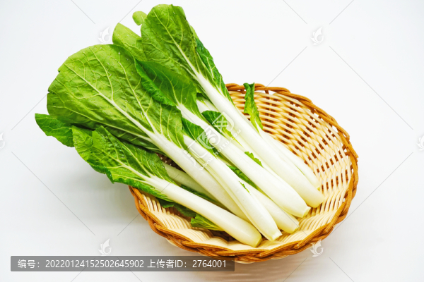 白色背景一籃子新鮮小白菜特寫