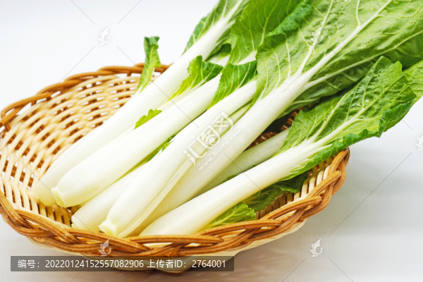 白色背景一籃子新鮮小白菜特寫