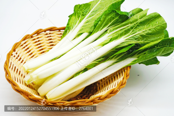 白色背景一籃子新鮮小白菜特寫