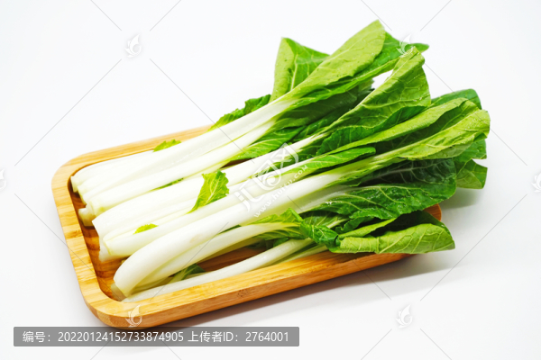 白色背景新鮮小白菜特寫
