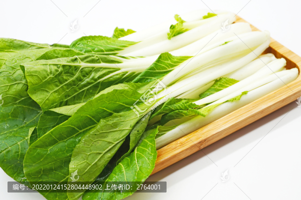 白色背景新鮮小白菜特寫