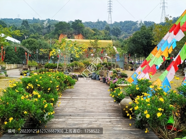 農(nóng)家樂庭院