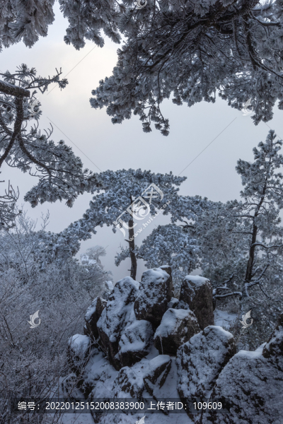 雪景
