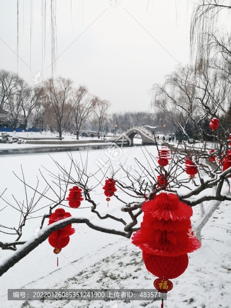 雪景