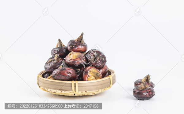 放在白色背景下的蔬菜荸薺