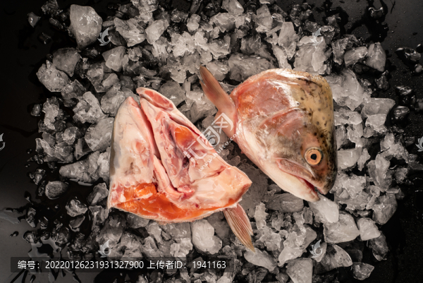 三文魚頭