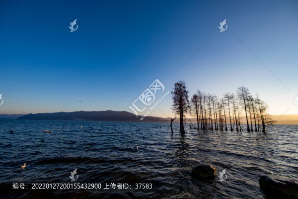大理風(fēng)光