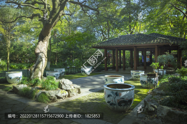 杭州飛來峰玉液幽蘭