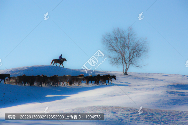 雪地奔馬
