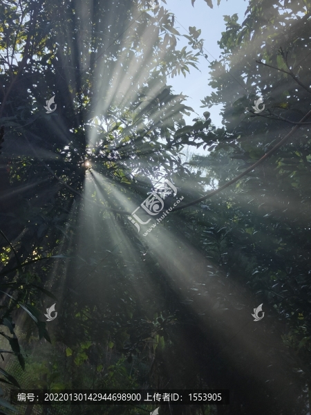 霞光