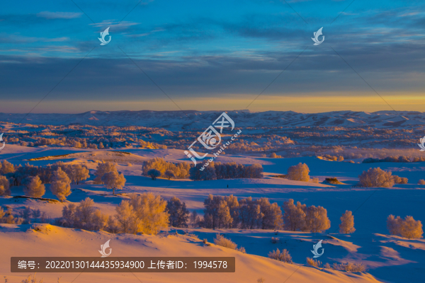 壩上雪景