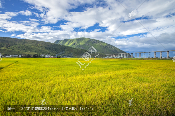 秋收風(fēng)光