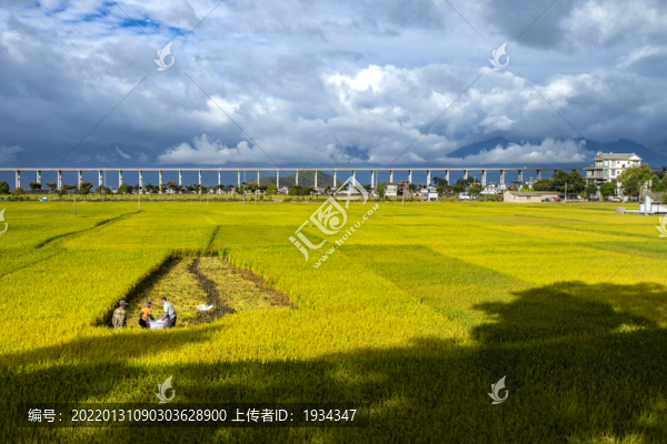 秋收風(fēng)光