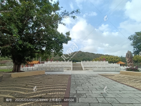 椰樹椰林