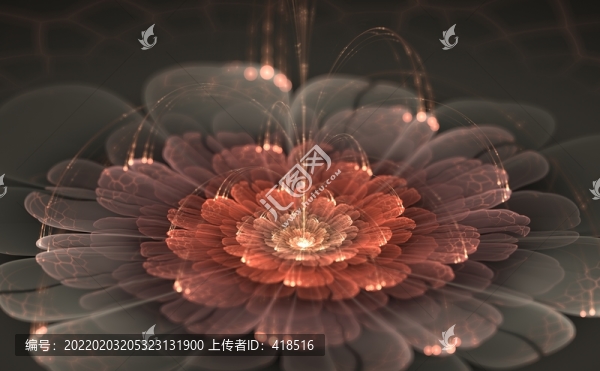 花朵