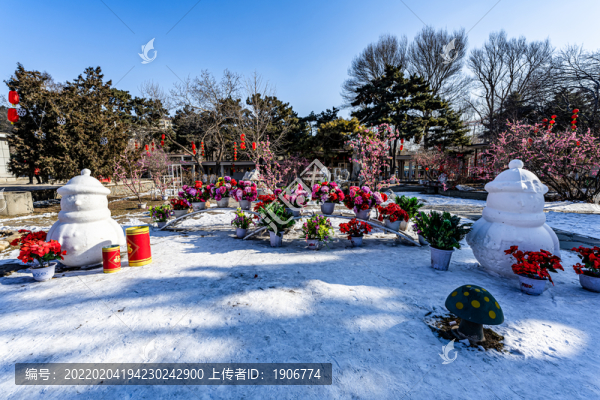 中國(guó)長(zhǎng)春市兒童公園迎春花展