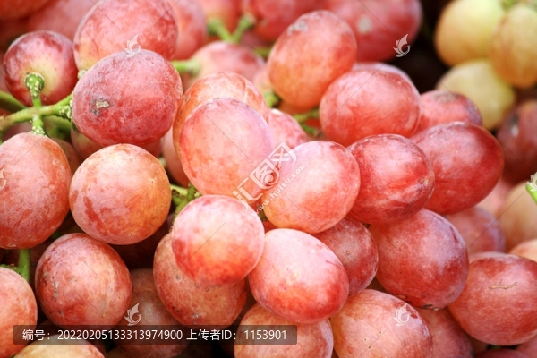紅提