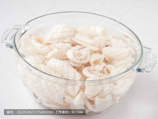 美味的魷魚食材