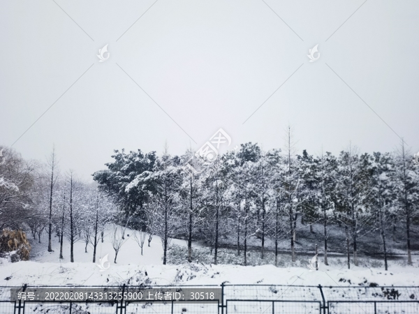美麗中國