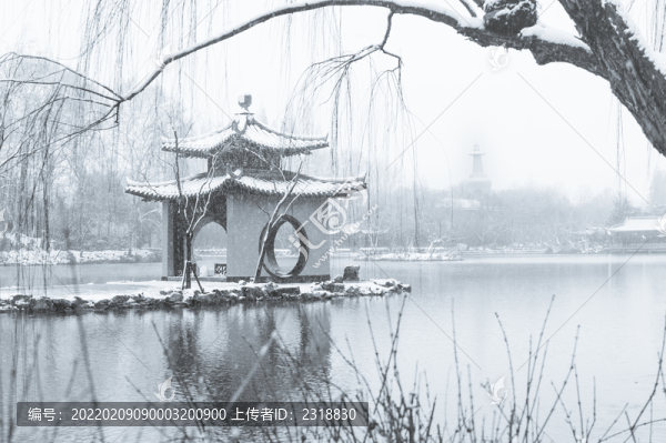 園林雪