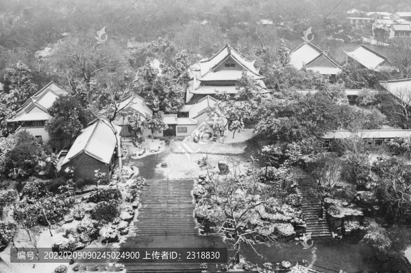 城市山林雪景