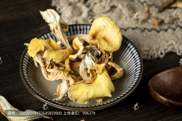 菌菇
