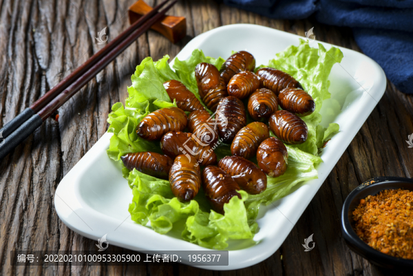 烤蠶蛹