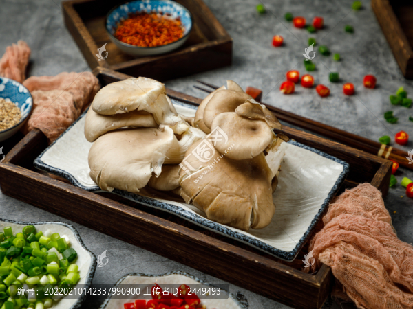 麻辣燙食材蘑菇