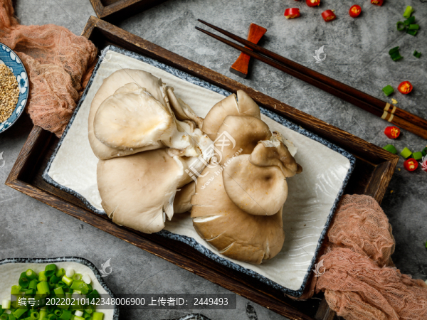 麻辣燙食材蘑菇