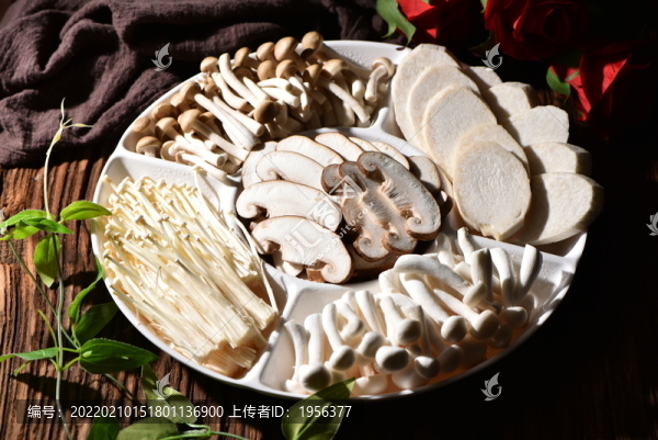 菌類拼盤