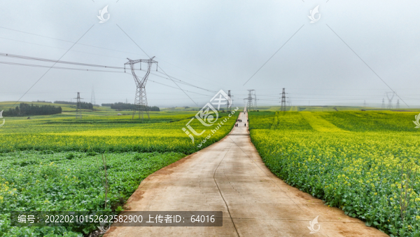 羅平旅游