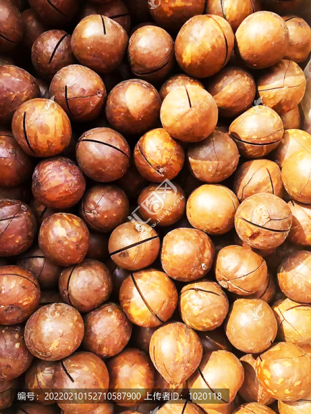 夏威夷果奶油味