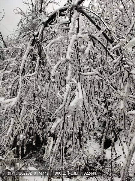 冰雪世界