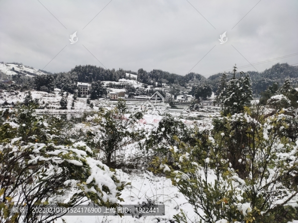 雪景