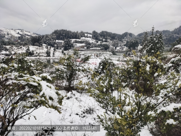 雪景