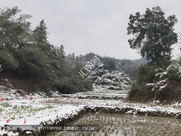 家鄉(xiāng)的雪景
