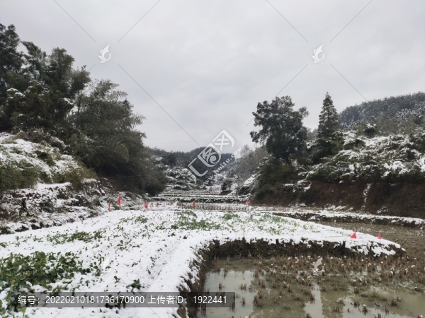 家鄉(xiāng)的雪景