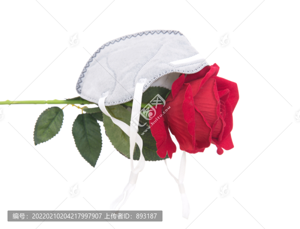 玫瑰花和疫情時(shí)期的口罩