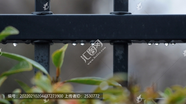 春雨