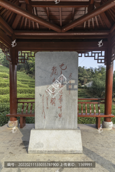 龍井茶