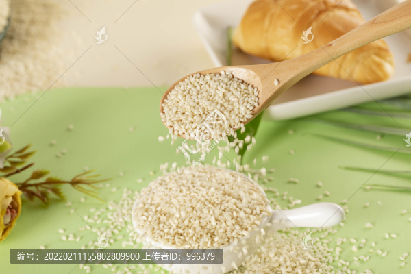 白芝麻