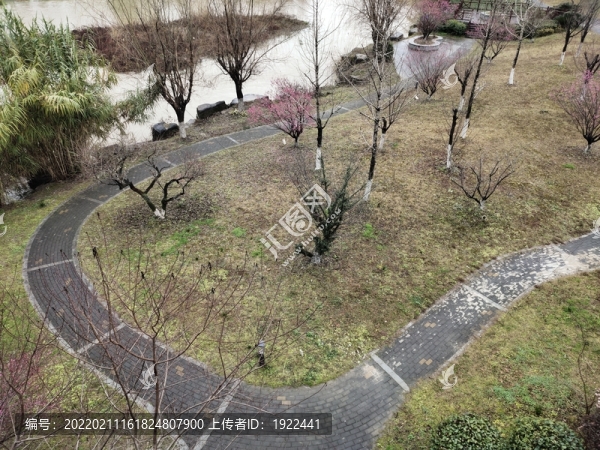 公園的冬天